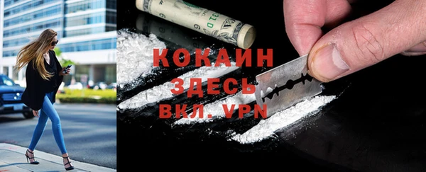 ПСИЛОЦИБИНОВЫЕ ГРИБЫ Гусев