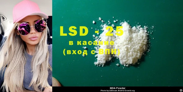 ПСИЛОЦИБИНОВЫЕ ГРИБЫ Гусев