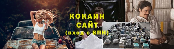 ПСИЛОЦИБИНОВЫЕ ГРИБЫ Гусев