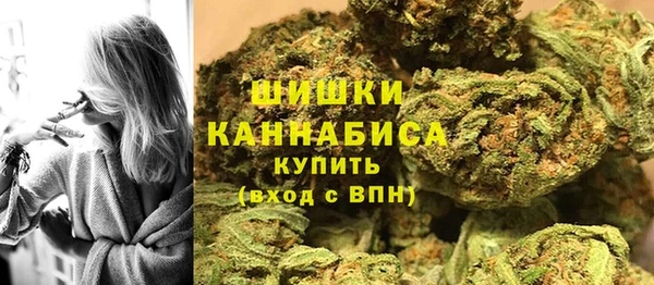 сатива Дмитриев