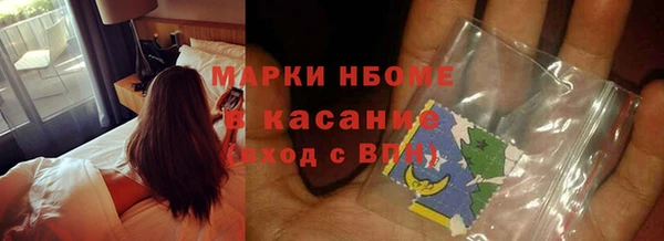 ПСИЛОЦИБИНОВЫЕ ГРИБЫ Гусев