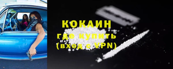 ПСИЛОЦИБИНОВЫЕ ГРИБЫ Гусев