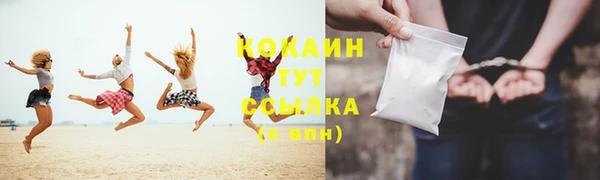 ПСИЛОЦИБИНОВЫЕ ГРИБЫ Гусев