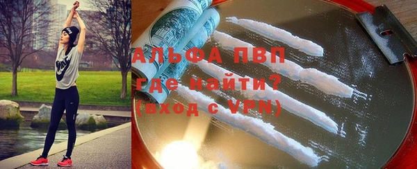 PSILOCYBIN Гусиноозёрск