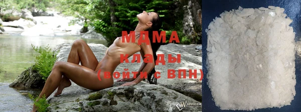 ПСИЛОЦИБИНОВЫЕ ГРИБЫ Гусев