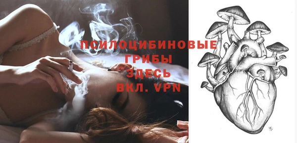 PSILOCYBIN Гусиноозёрск