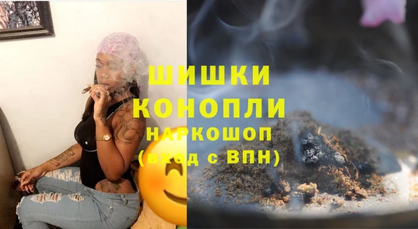 ПСИЛОЦИБИНОВЫЕ ГРИБЫ Гусев