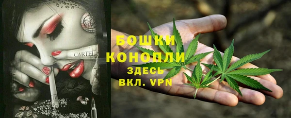 PSILOCYBIN Гусиноозёрск